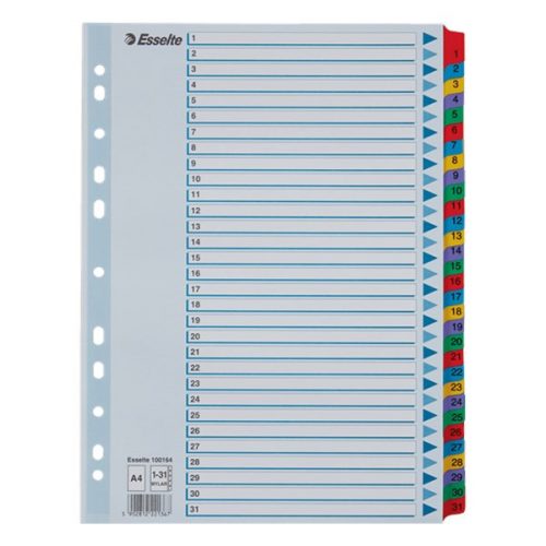 Regiszter ESSELTE Mylar A/4 laminált karton 1-31